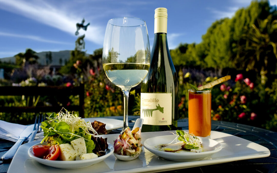 Emerging Wine Regions: Africa and Latin America
