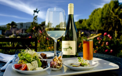 Emerging Wine Regions: Africa and Latin America